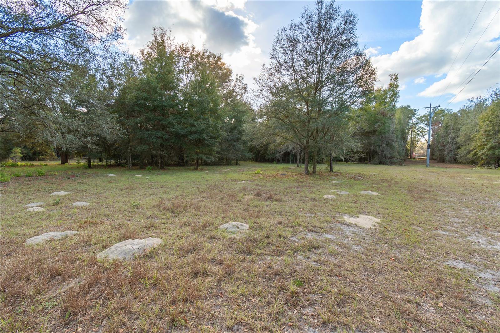 6290 NE 150TH AVE, WILLISTON, FL, 32696