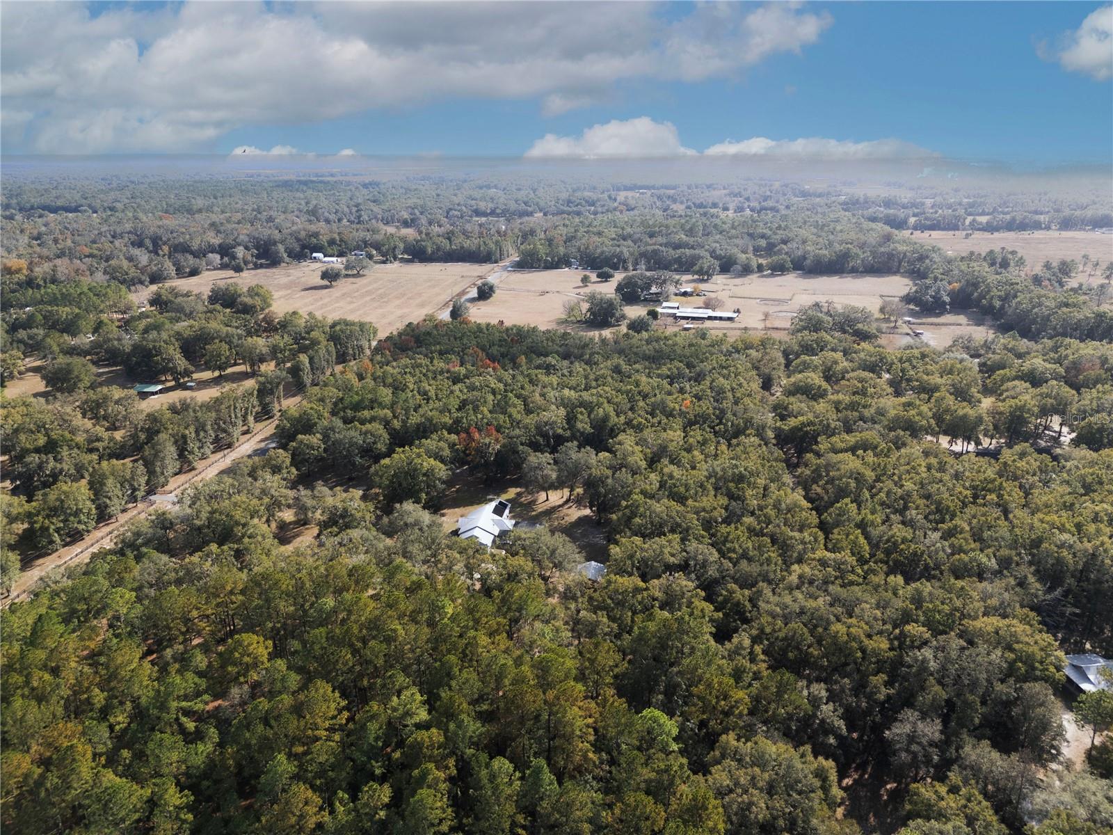 6290 NE 150TH AVE, WILLISTON, FL, 32696