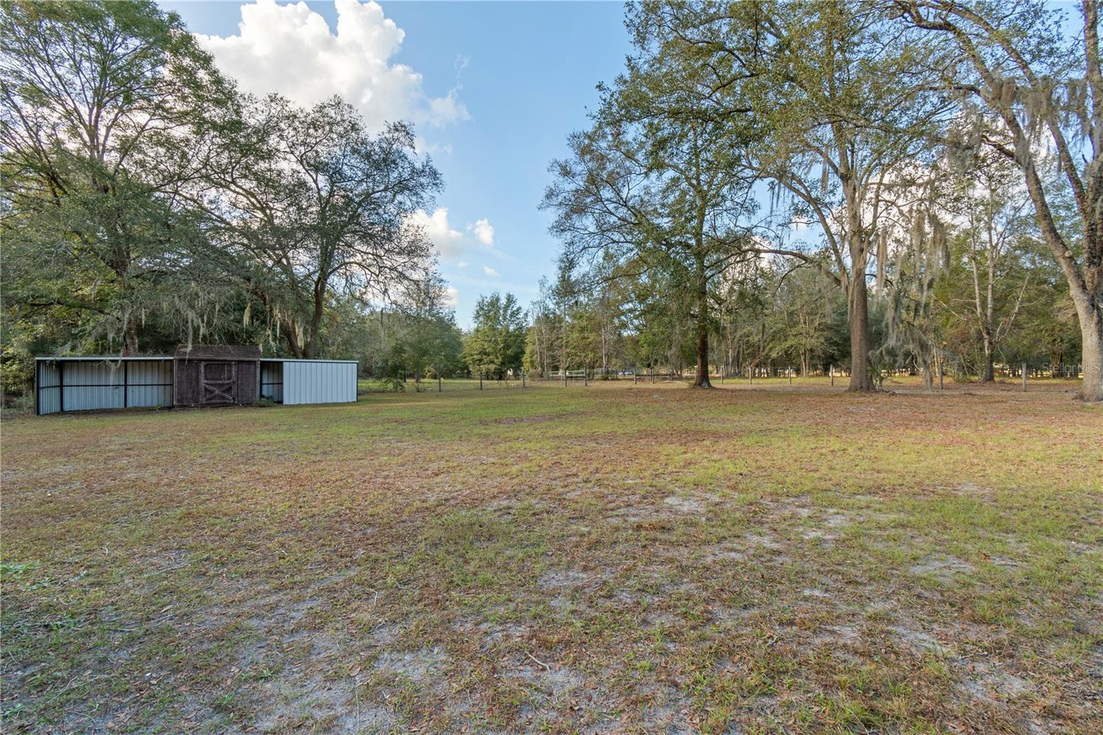 6290 NE 150TH AVE, WILLISTON, FL, 32696