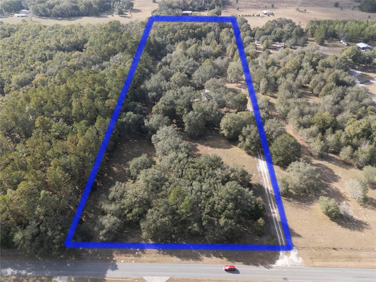 6290 NE 150TH AVE, WILLISTON, FL, 32696