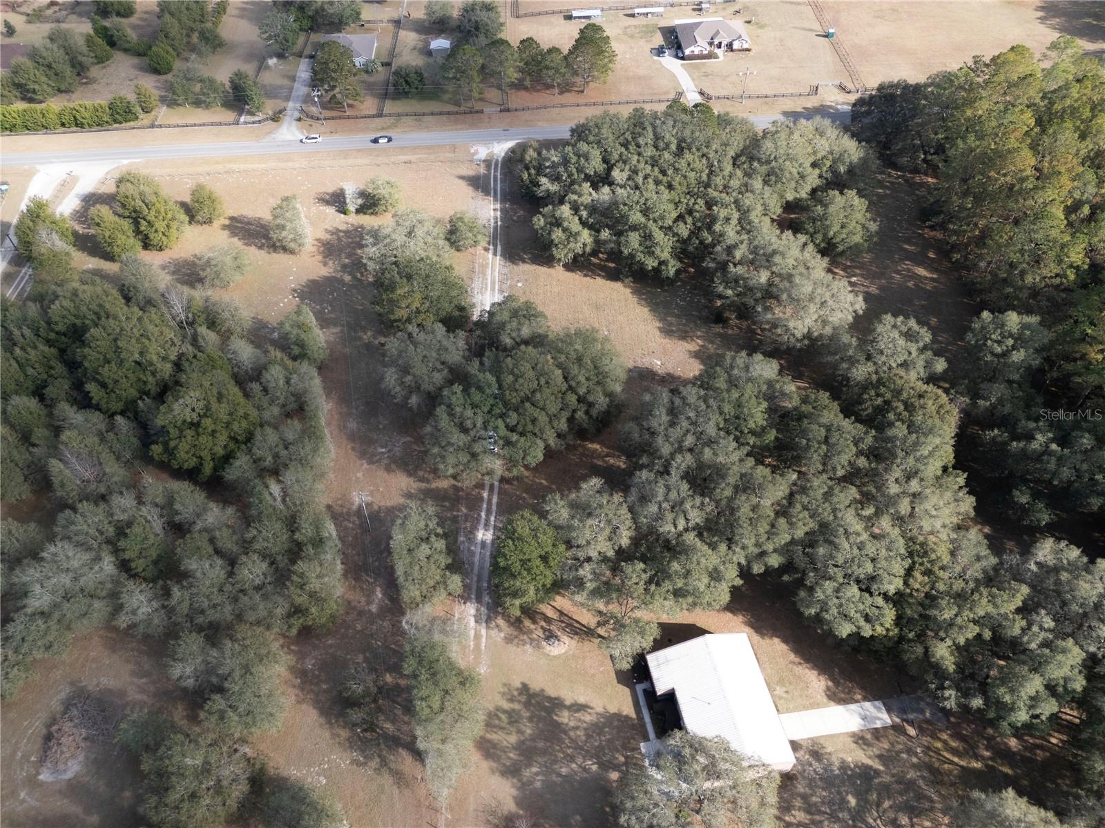 6290 NE 150TH AVE, WILLISTON, FL, 32696