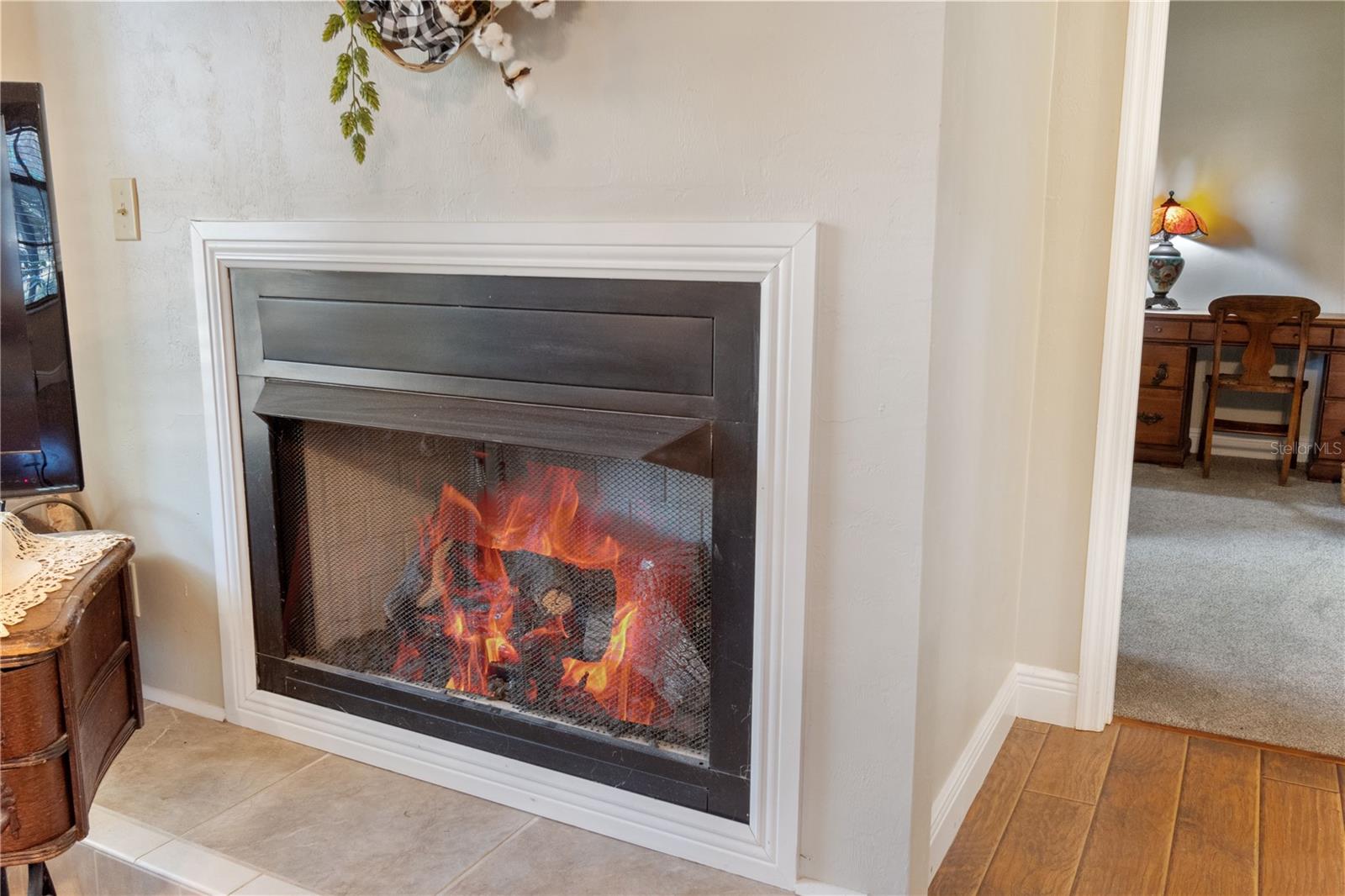 6290 NE 150TH AVE, WILLISTON, FL, 32696