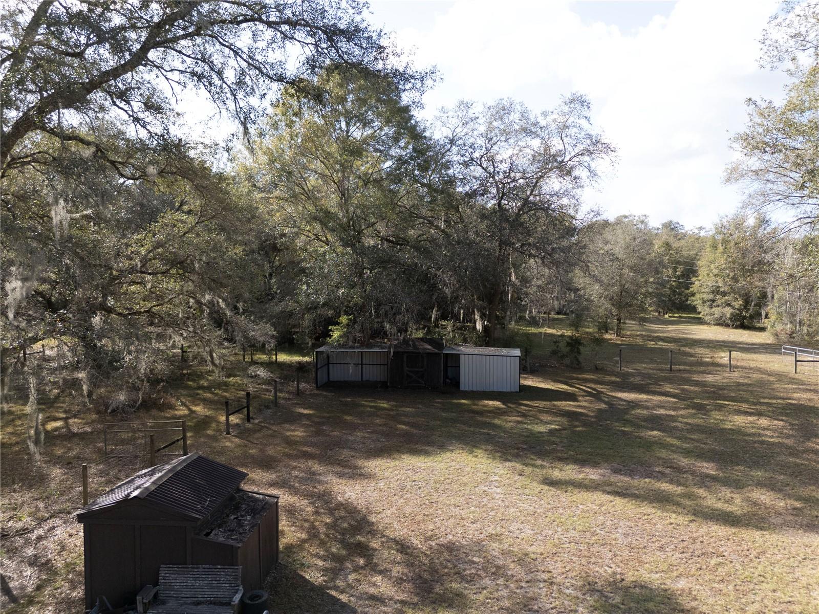 6290 NE 150TH AVE, WILLISTON, FL, 32696
