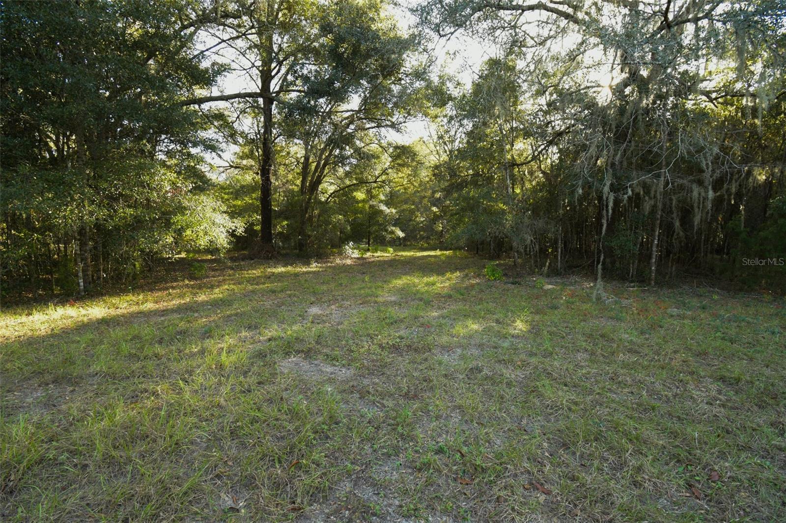 6290 NE 150TH AVE, WILLISTON, FL, 32696