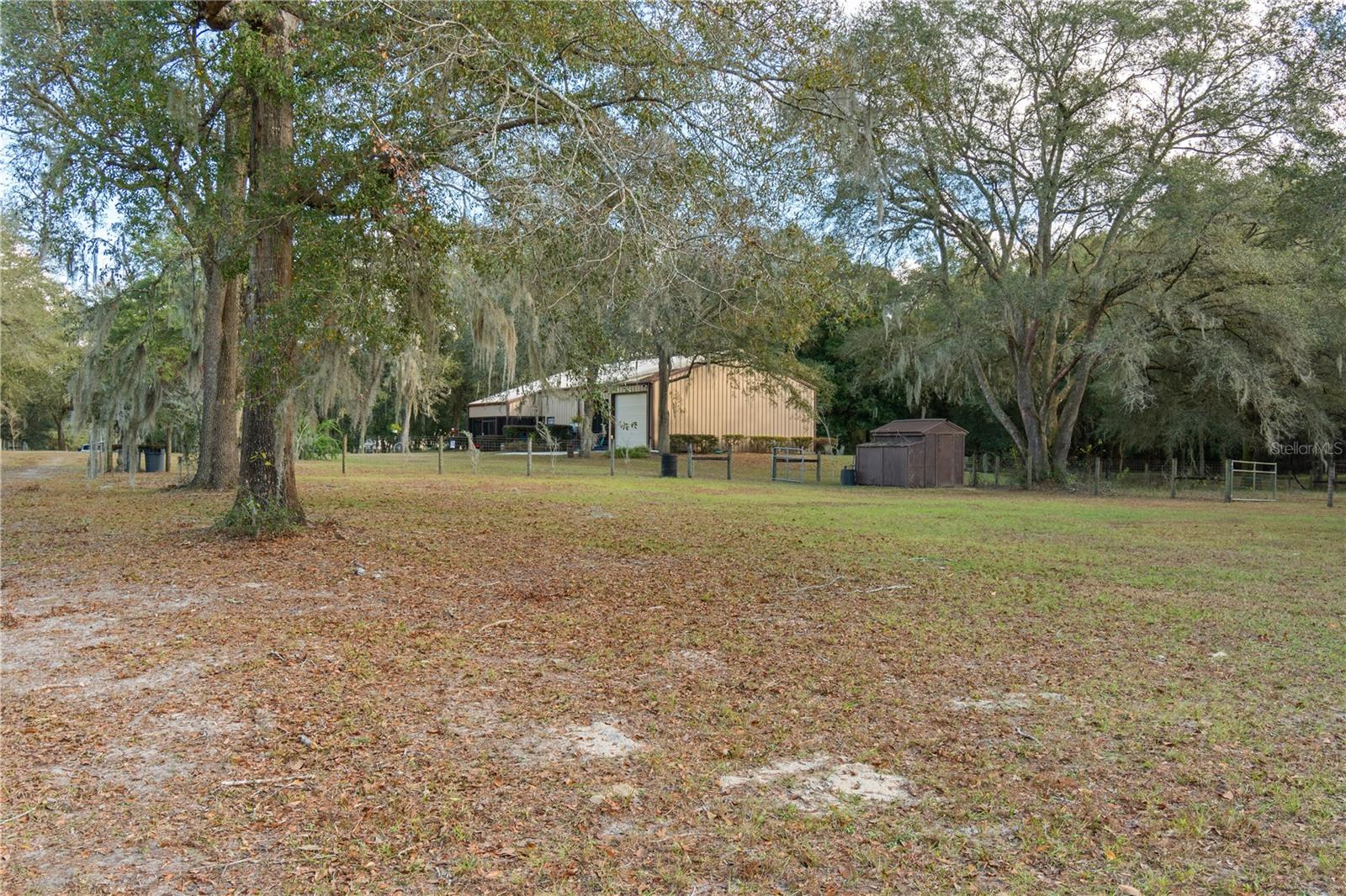 6290 NE 150TH AVE, WILLISTON, FL, 32696