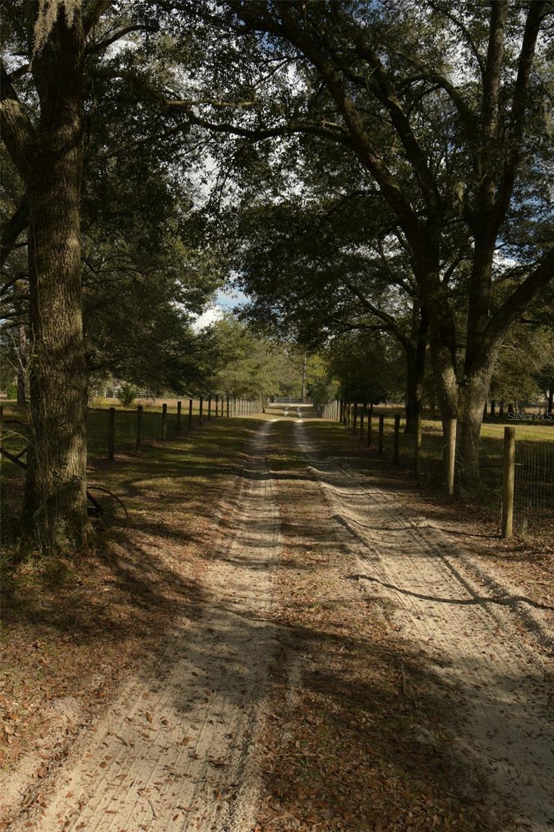 6290 NE 150TH AVE, WILLISTON, FL, 32696