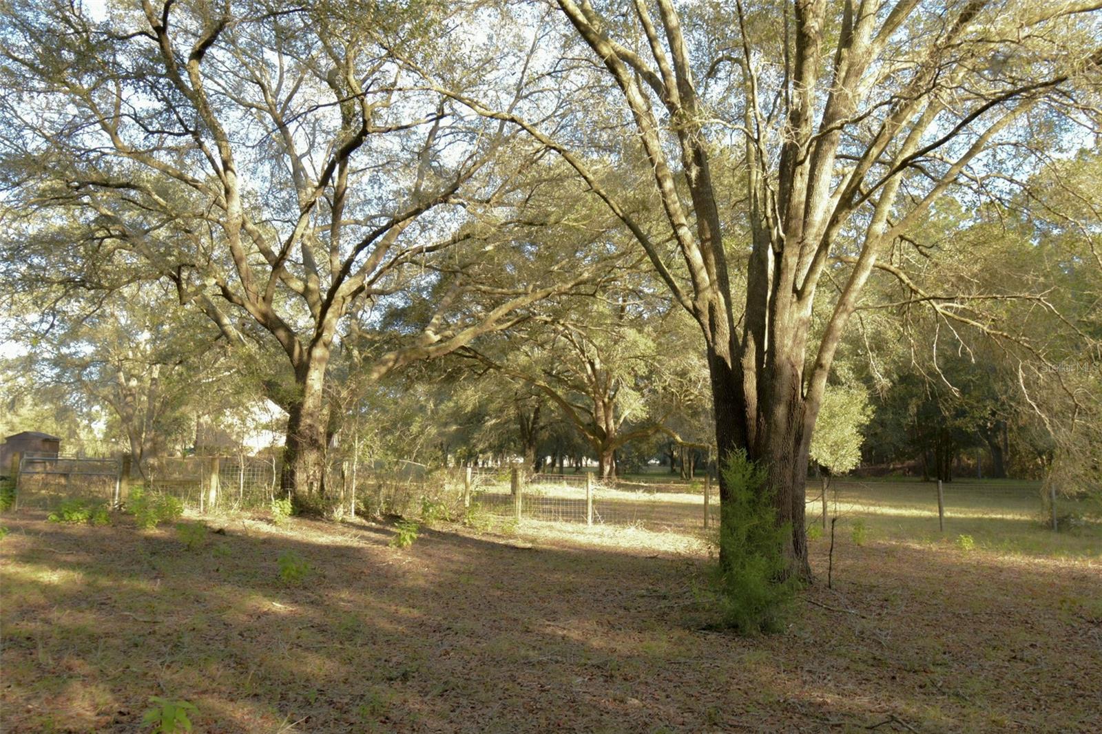 6290 NE 150TH AVE, WILLISTON, FL, 32696