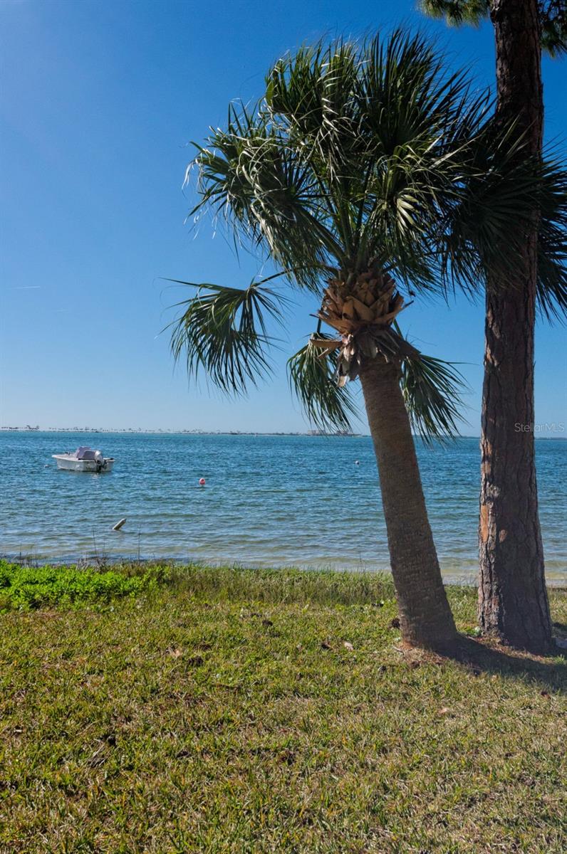 2700 BAYSHORE BLVD #4309, DUNEDIN, FL, 34698
