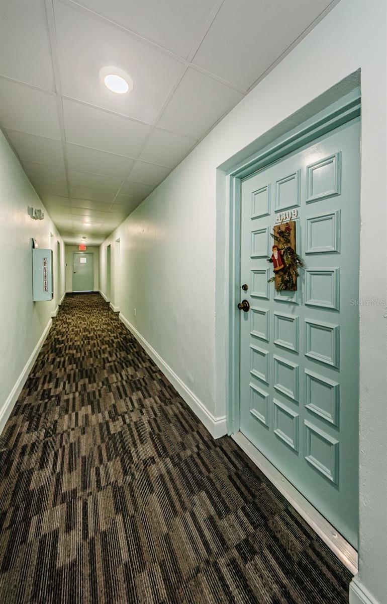 2700 BAYSHORE BLVD #4309, DUNEDIN, FL, 34698