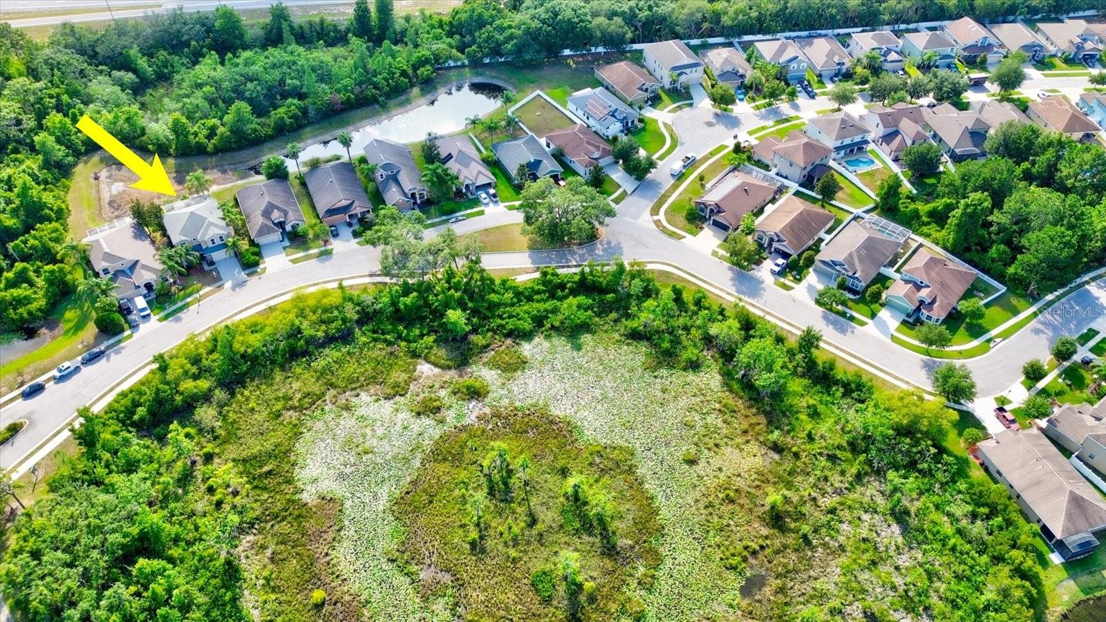 12211 OAK RAMBLE DR, SPRING HILL, FL, 34610