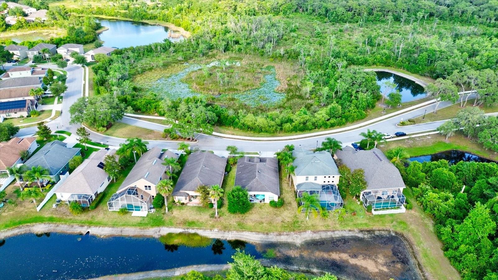 12211 OAK RAMBLE DR, SPRING HILL, FL, 34610