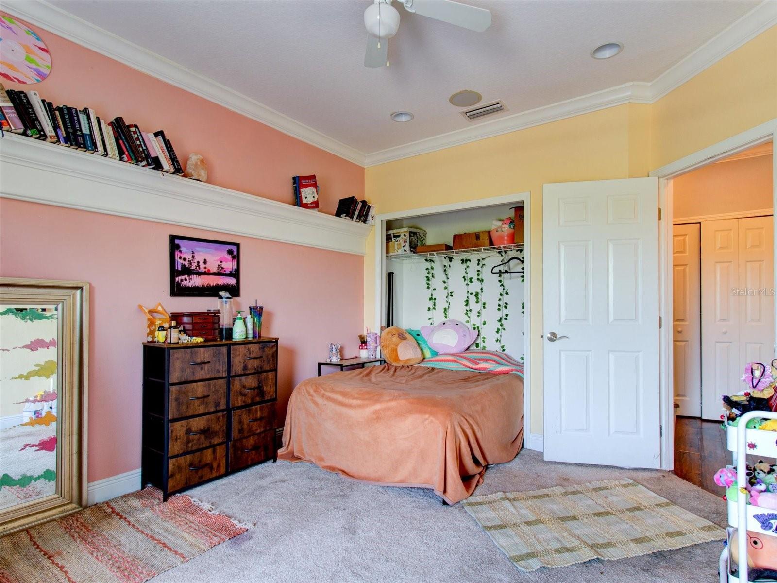 12211 OAK RAMBLE DR, SPRING HILL, FL, 34610