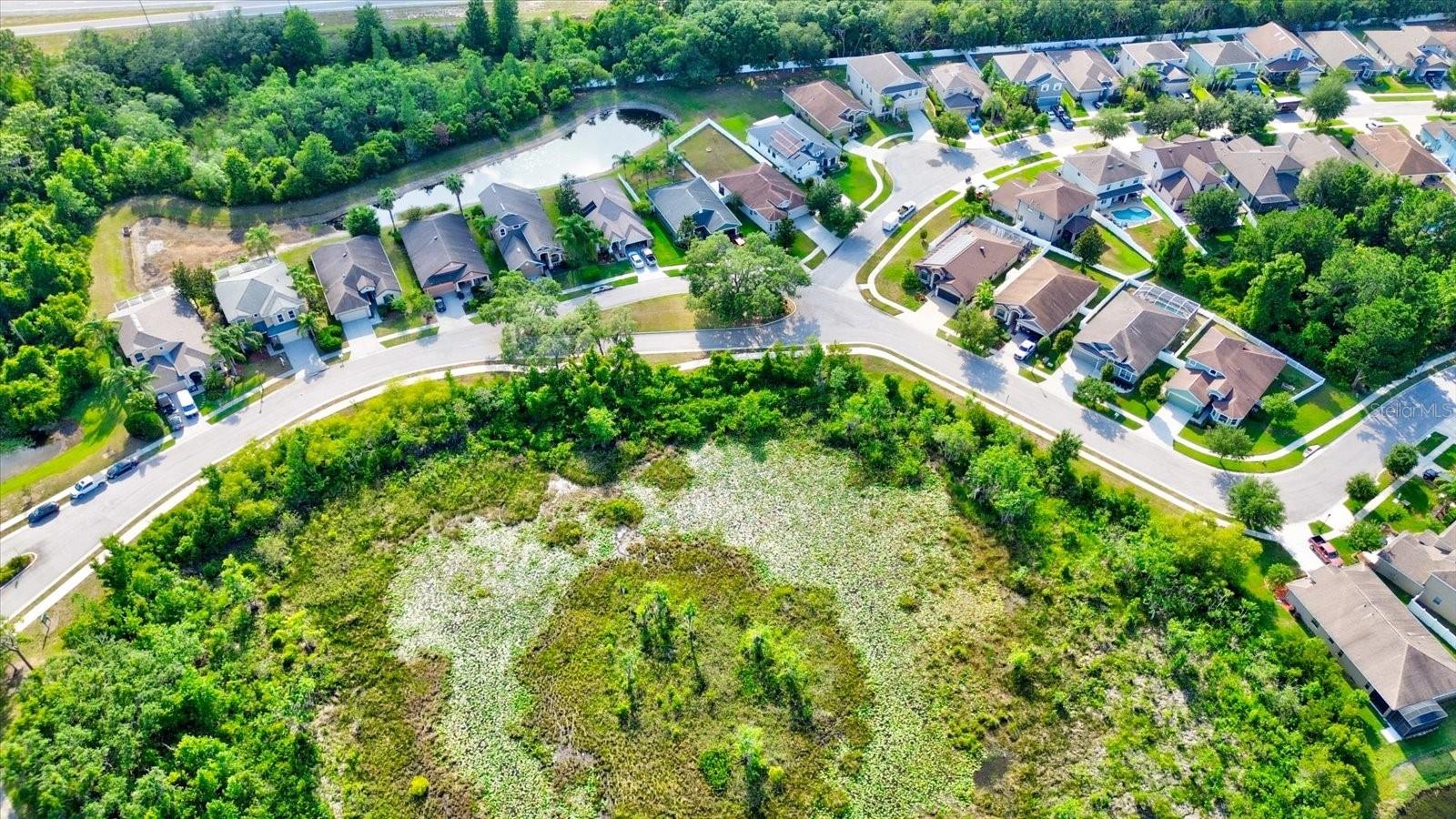 12211 OAK RAMBLE DR, SPRING HILL, FL, 34610