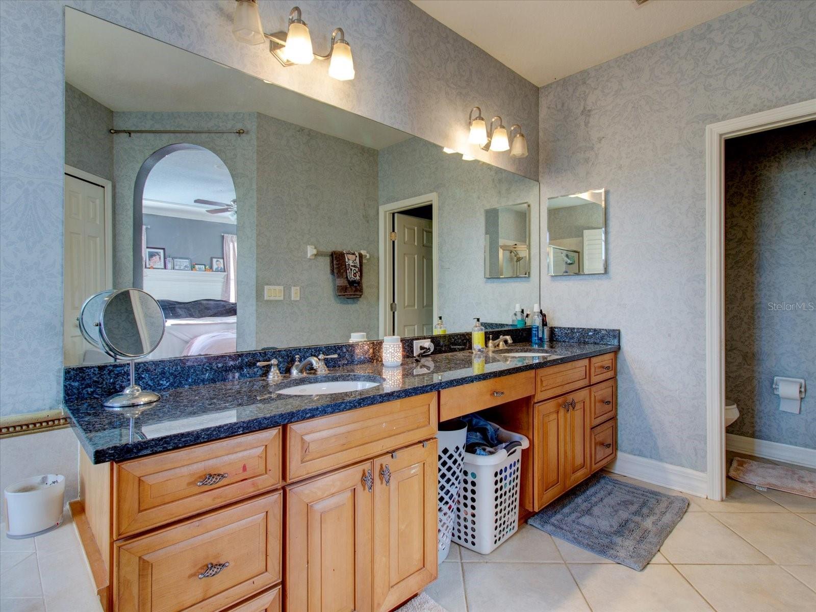 12211 OAK RAMBLE DR, SPRING HILL, FL, 34610
