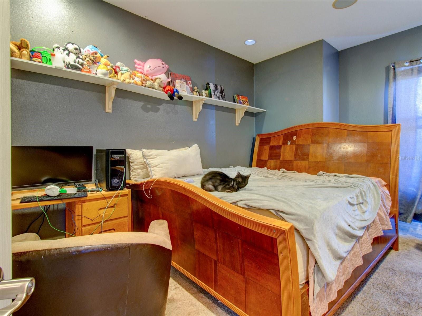 12211 OAK RAMBLE DR, SPRING HILL, FL, 34610