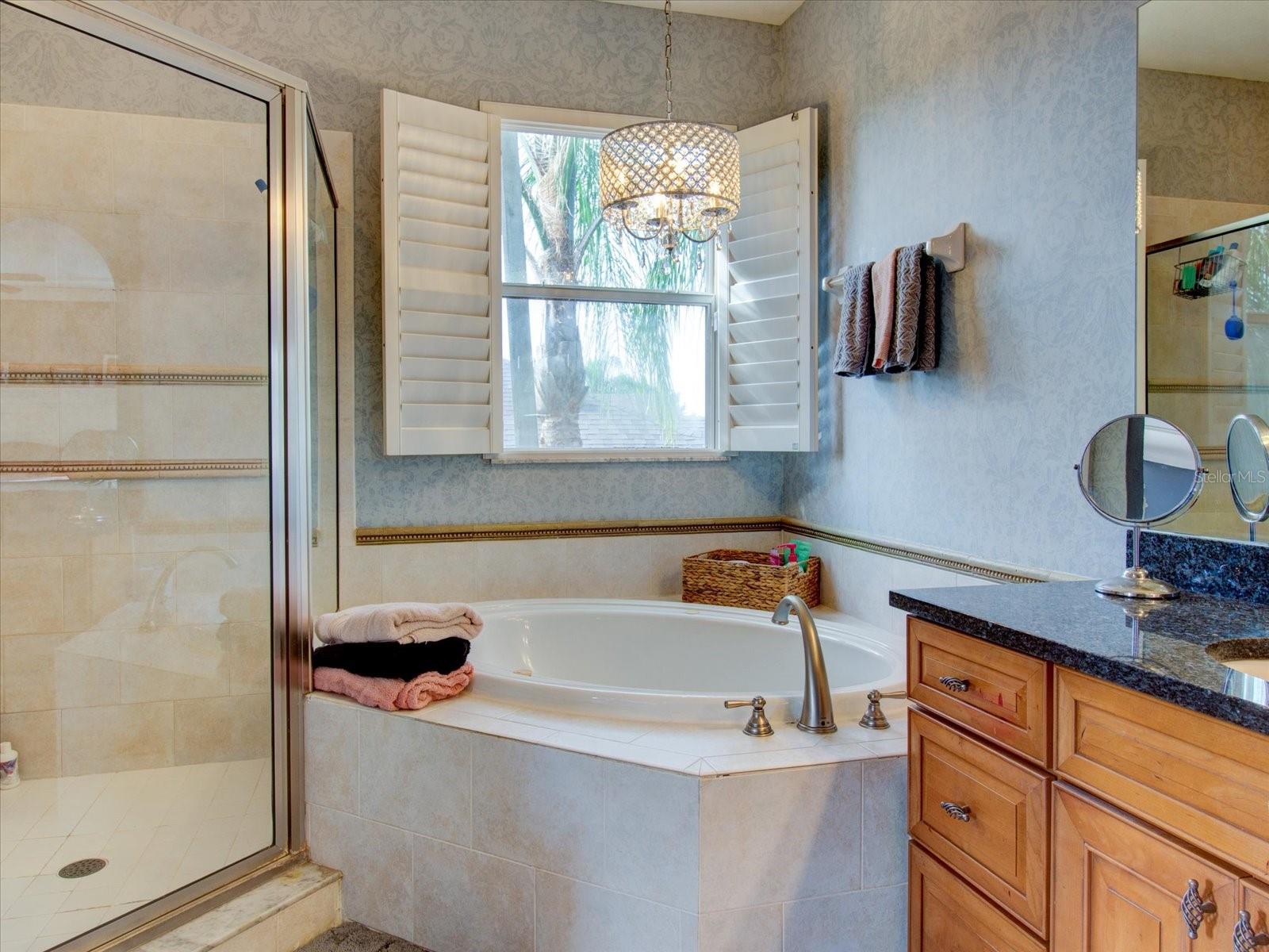 12211 OAK RAMBLE DR, SPRING HILL, FL, 34610