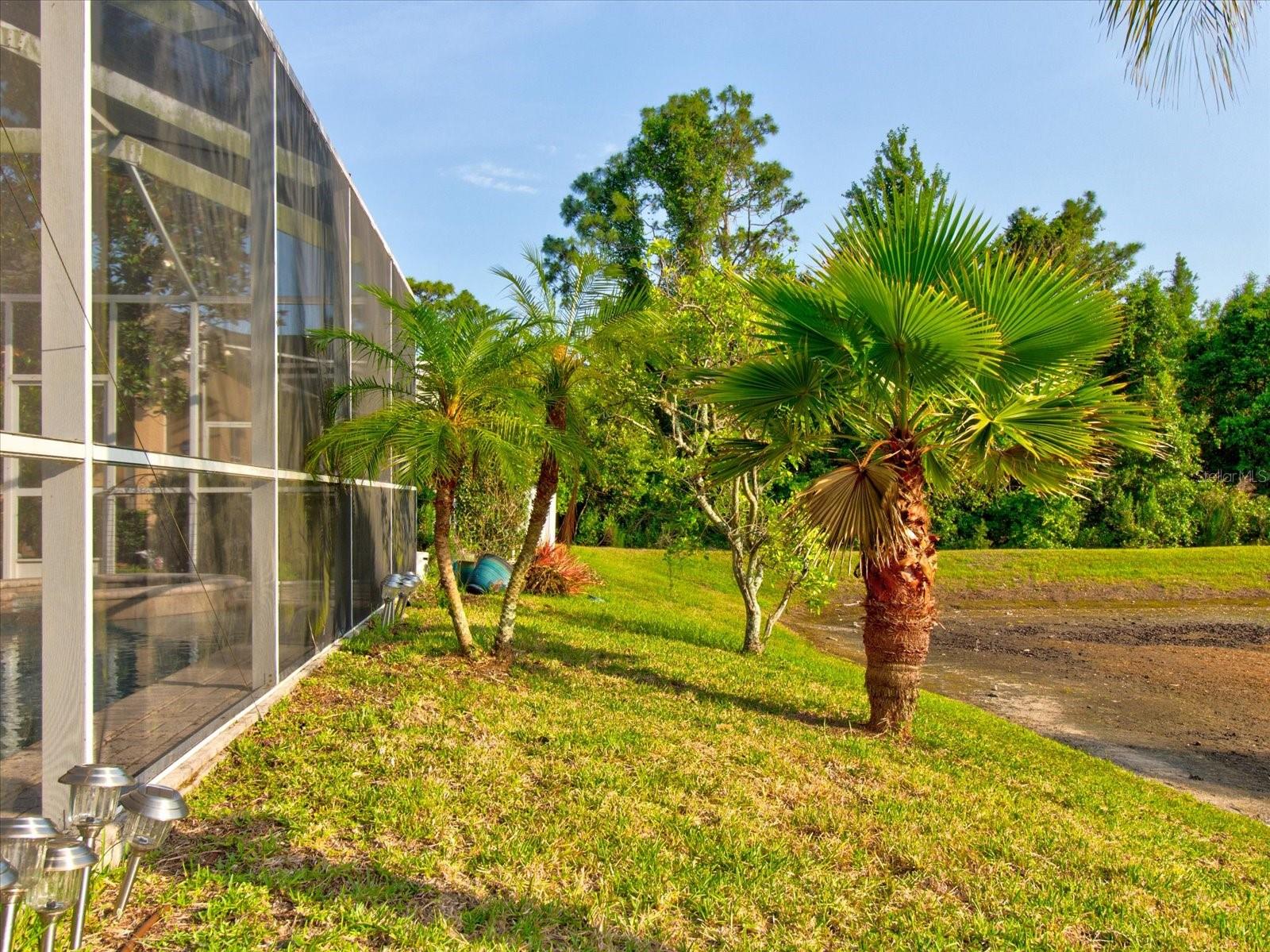 12211 OAK RAMBLE DR, SPRING HILL, FL, 34610