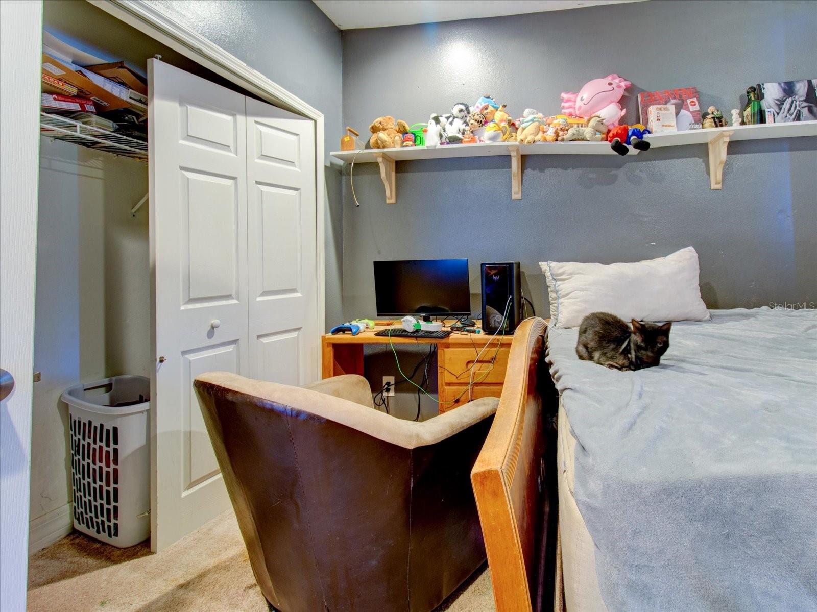 12211 OAK RAMBLE DR, SPRING HILL, FL, 34610