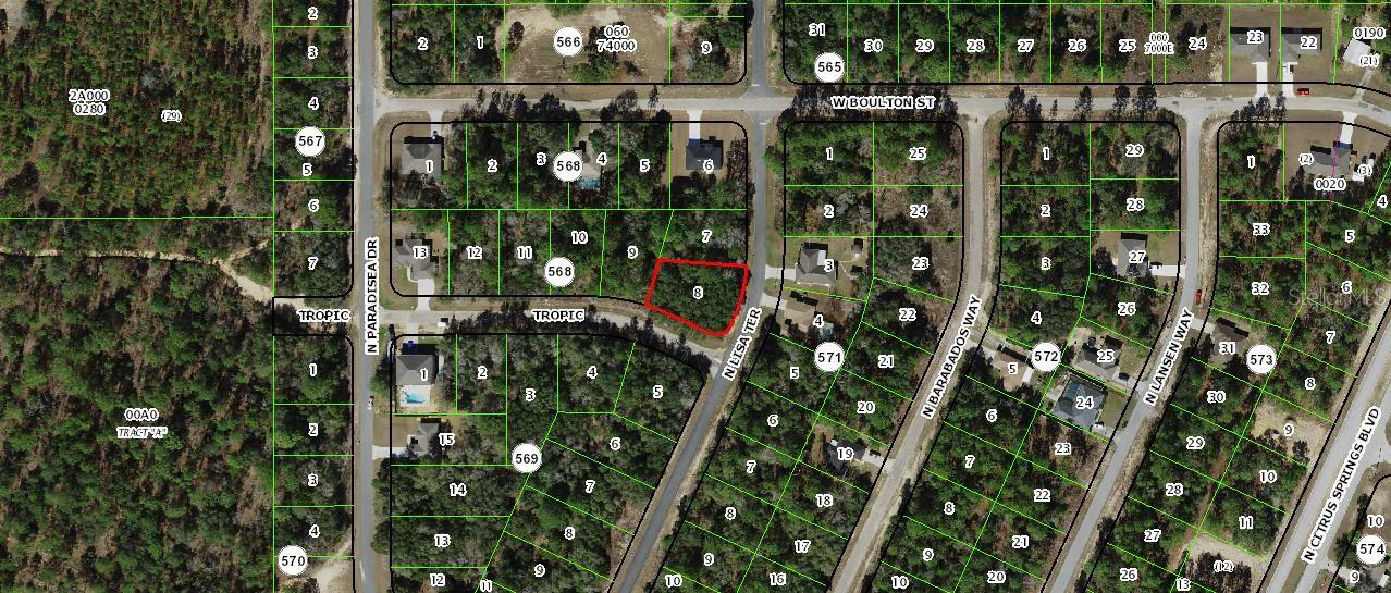 3881 W TROPIC LN, DUNNELLON, FL, 34433