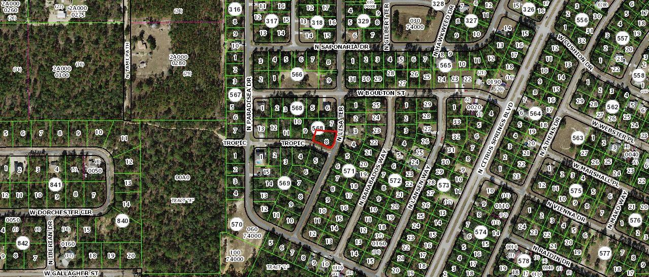 3881 W TROPIC LN, DUNNELLON, FL, 34433