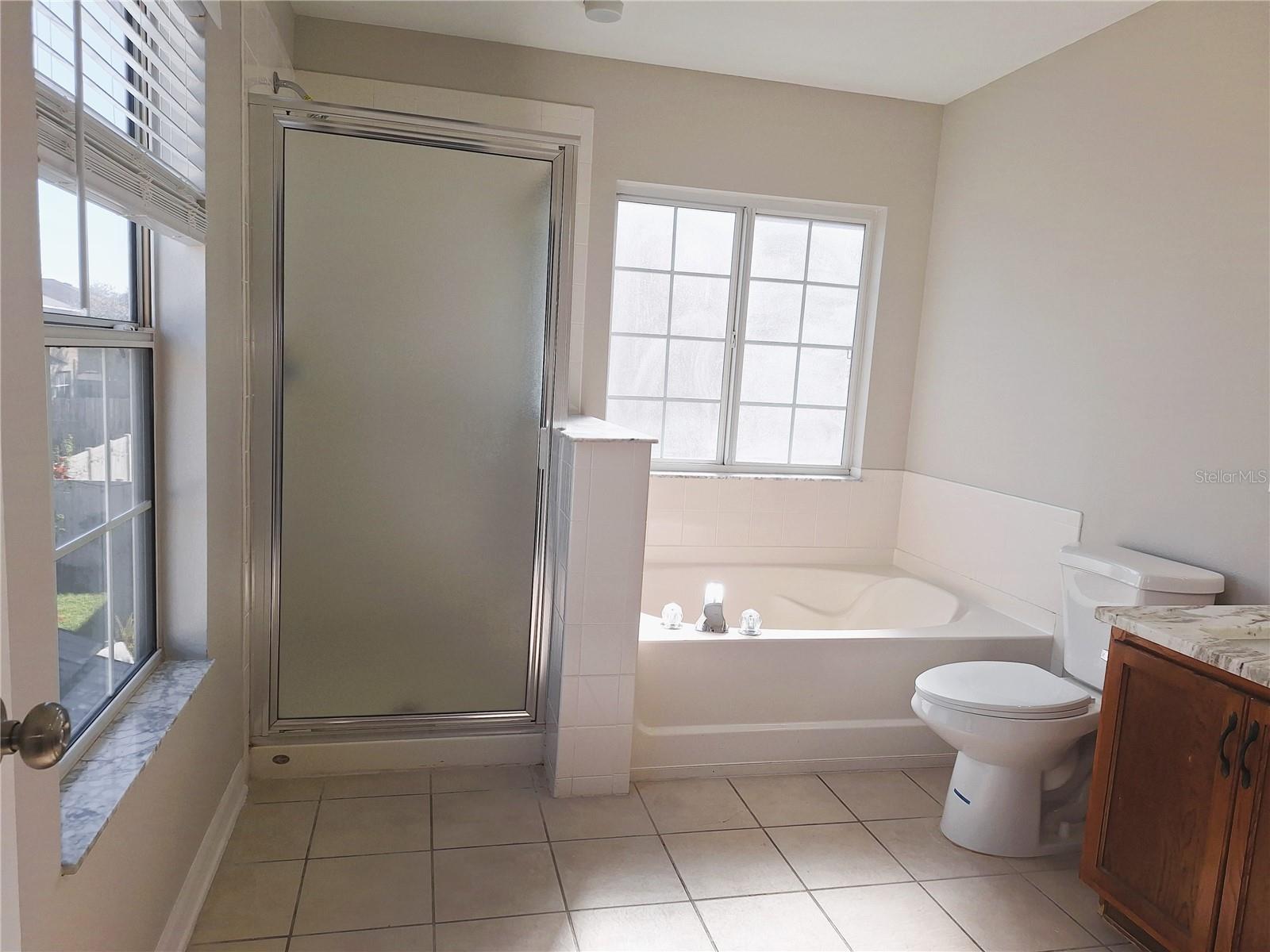9142 BELL ROCK PL, LAND O LAKES, FL, 34638