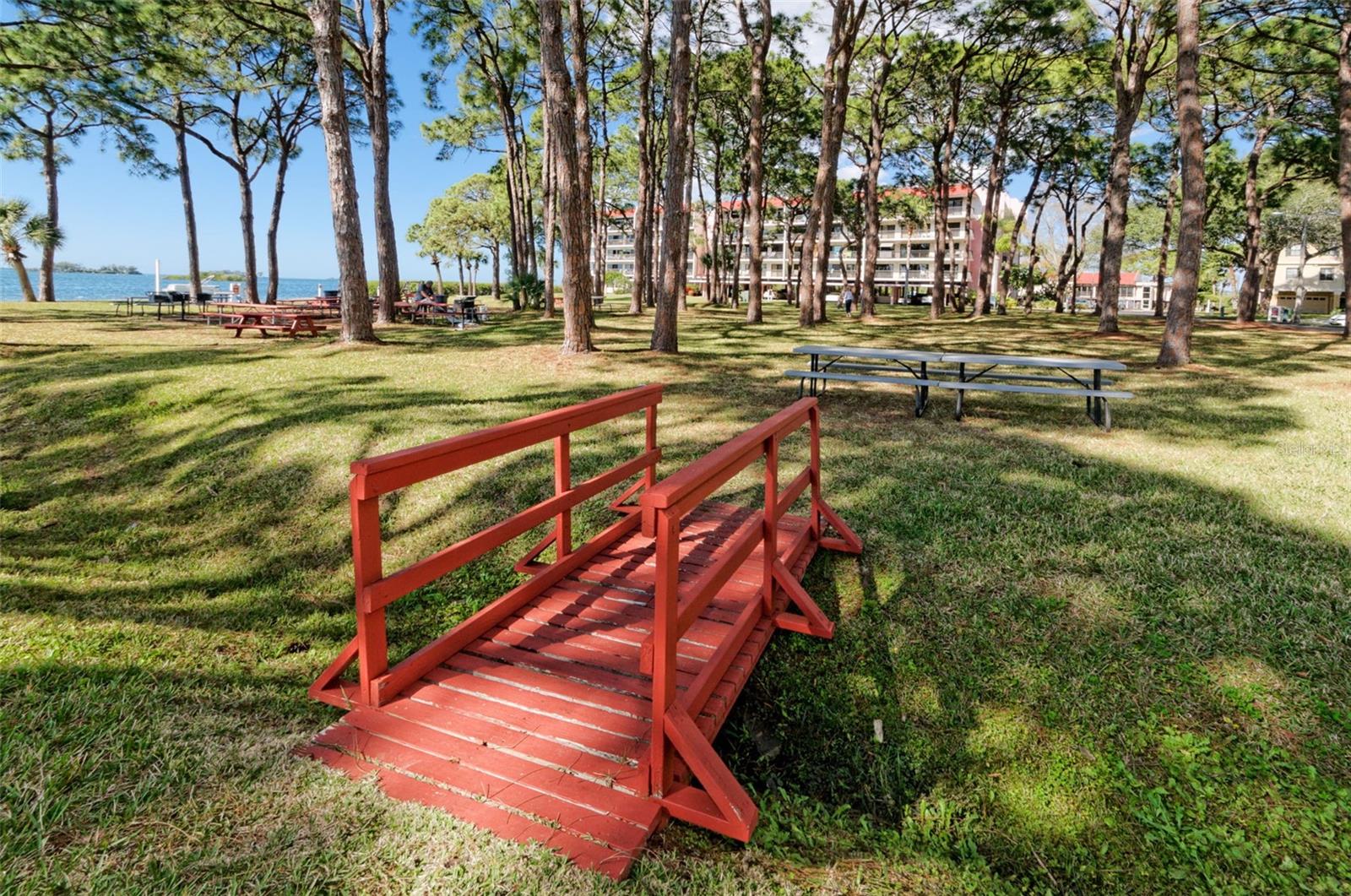 2700 BAYSHORE BLVD #11302, DUNEDIN, FL, 34698