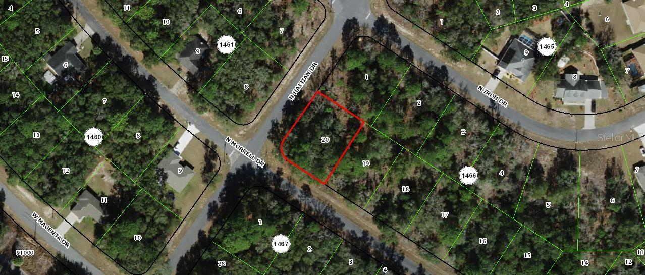 11009 N MORRELL DR, CITRUS SPRINGS, FL, 34434