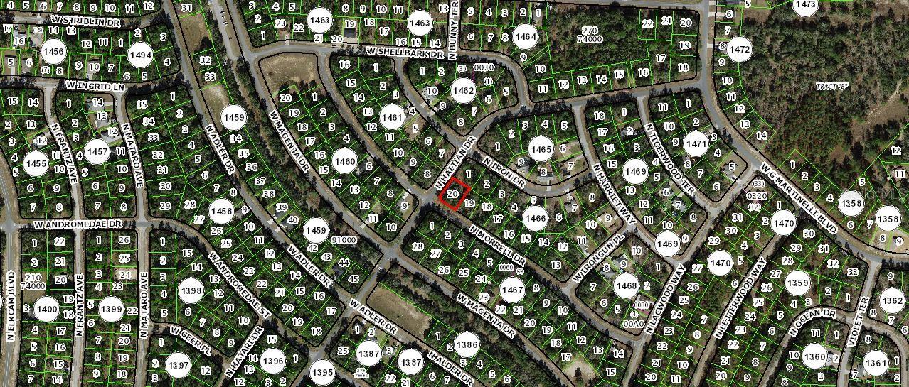 11009 N MORRELL DR, CITRUS SPRINGS, FL, 34434