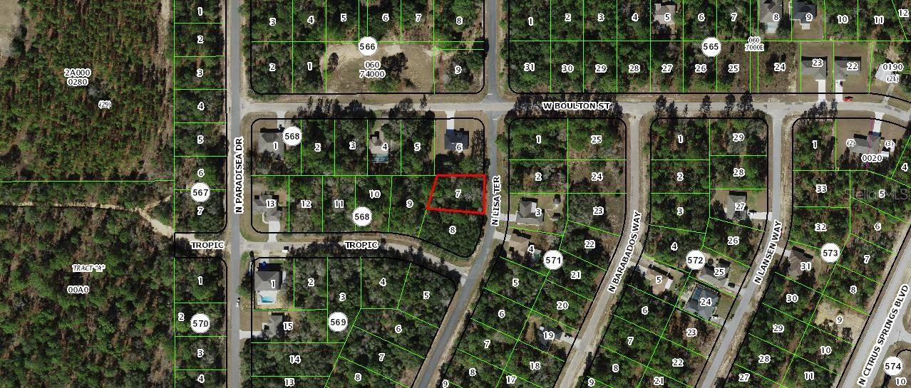 8992 N LISA TER, CITRUS SPRINGS, FL, 34433