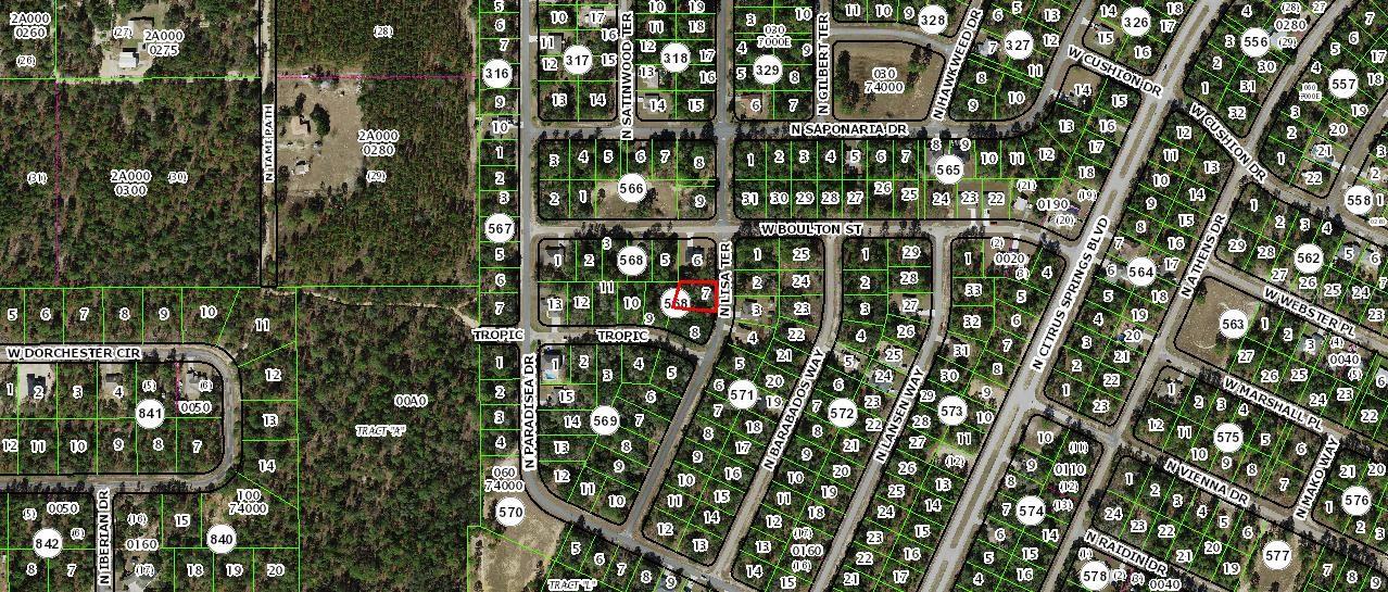 8992 N LISA TER, CITRUS SPRINGS, FL, 34433