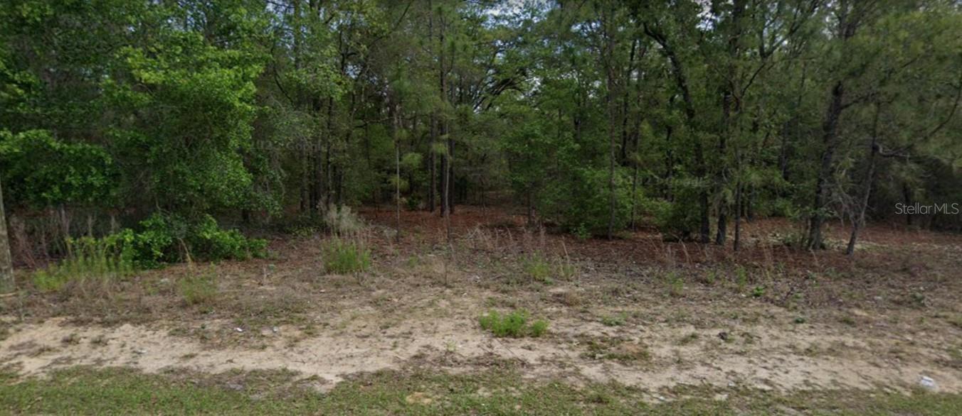 2098 W MESA VERDE DR, BEVERLY HILLS, FL, 34465