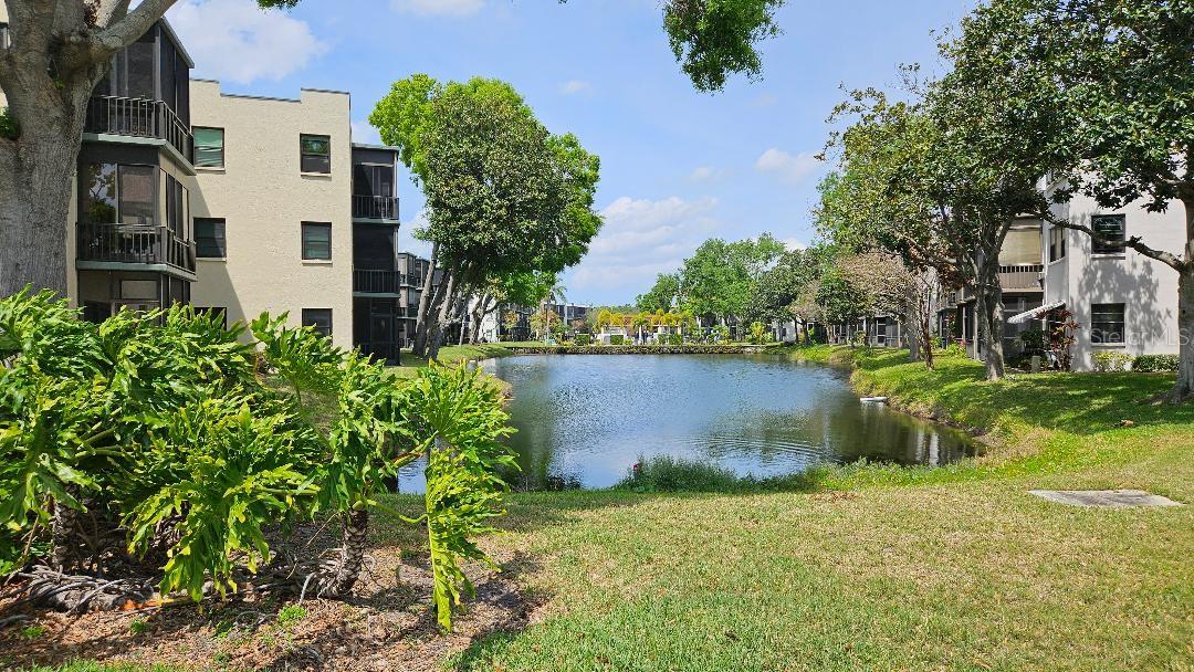 5975 TERRACE PARK DR N #102, ST PETERSBURG, FL, 33709