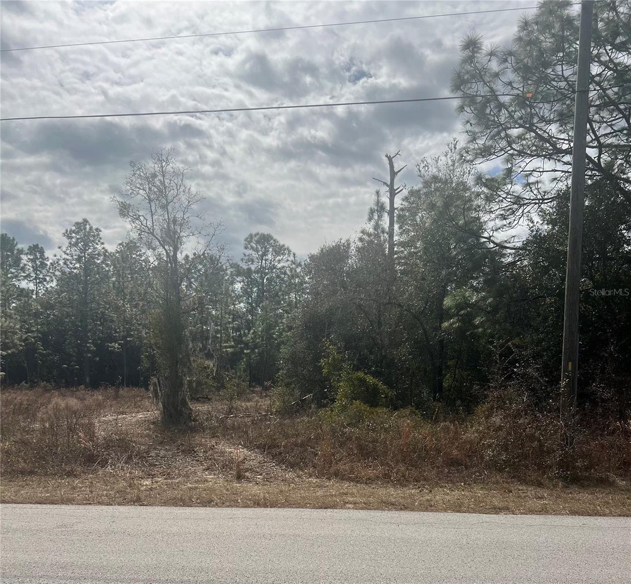 TBD SW TIGER LAKE BLVD, DUNNELLON, FL, 34431