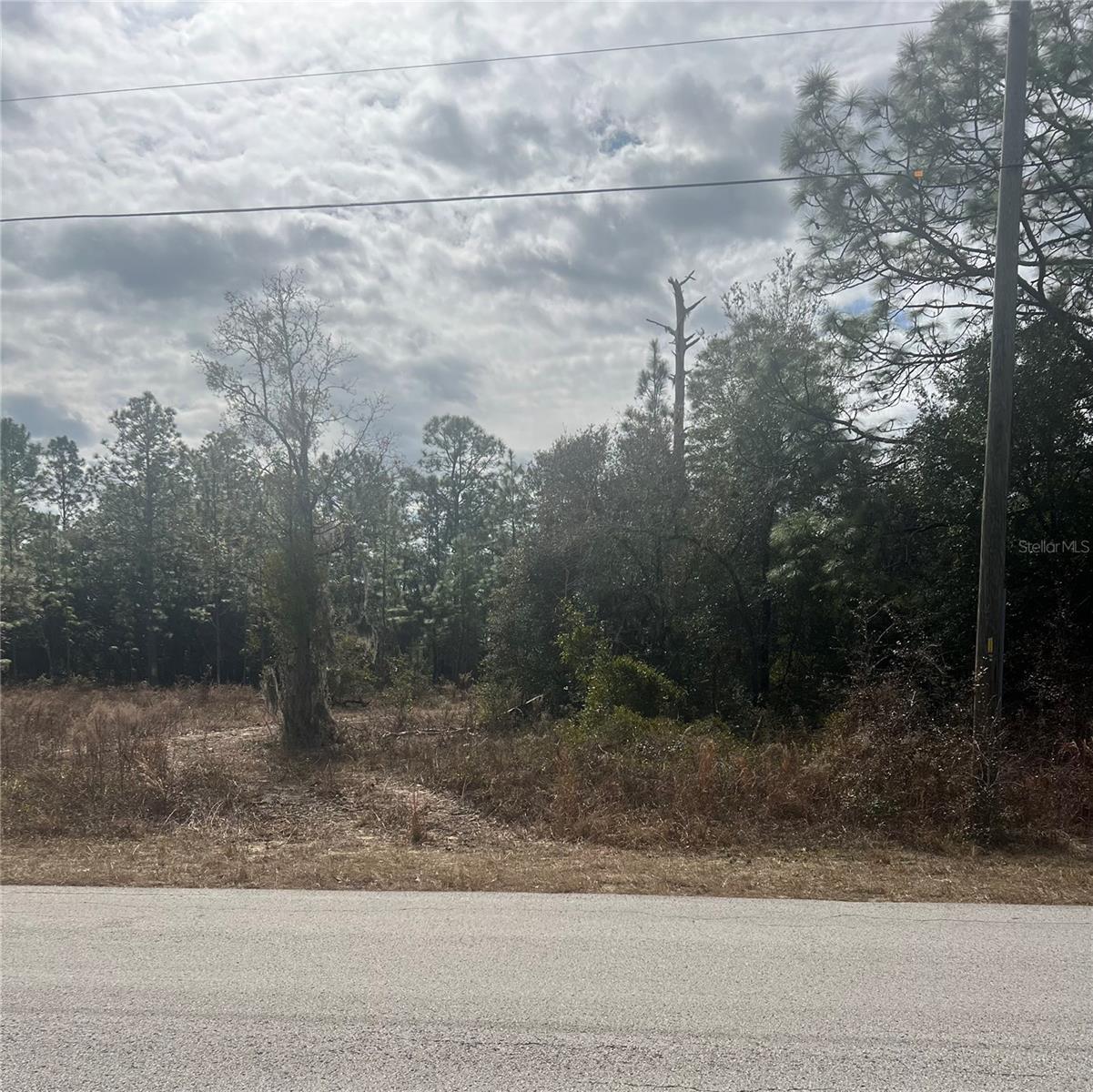 TBD SW TIGER LAKE BLVD, DUNNELLON, FL, 34431