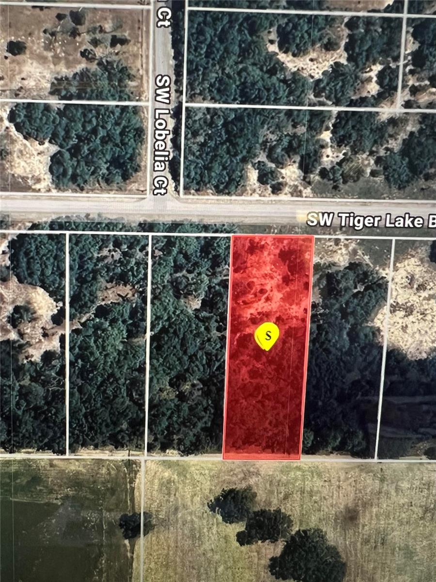 TBD SW TIGER LAKE BLVD, DUNNELLON, FL, 34431
