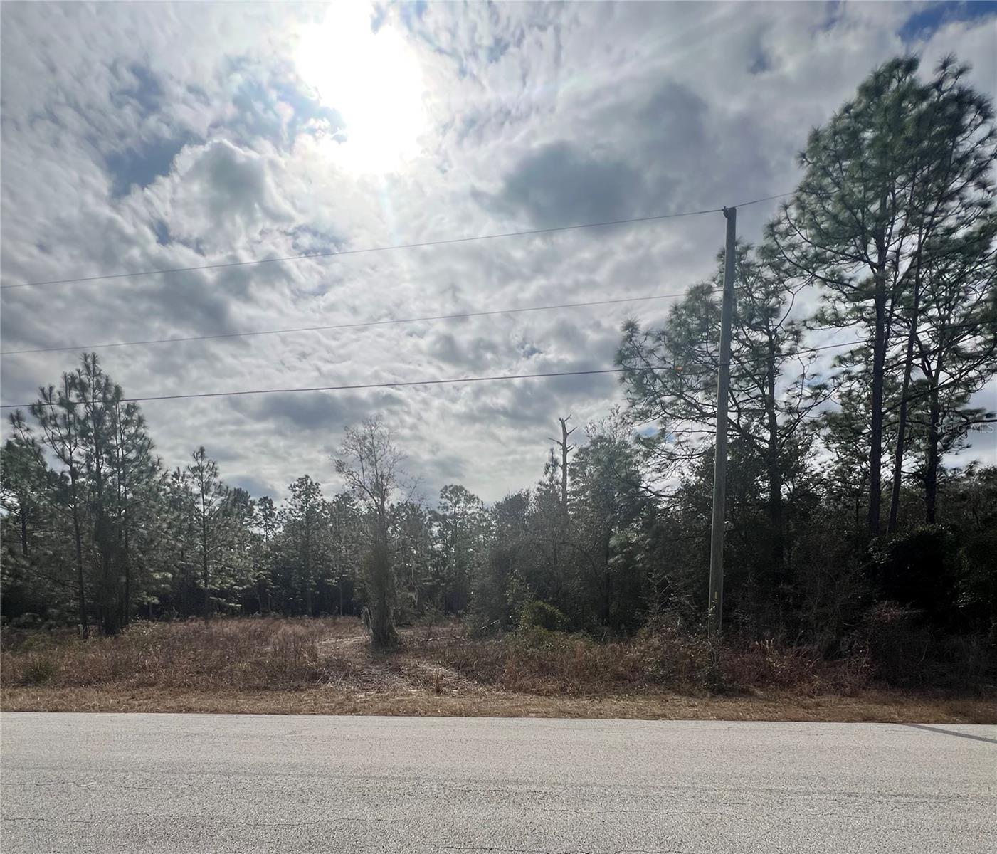 TBD SW TIGER LAKE BLVD, DUNNELLON, FL, 34431
