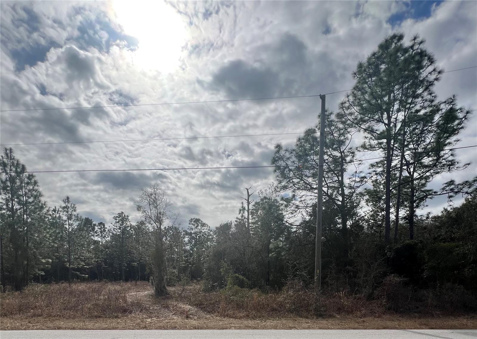 TBD SW TIGER LAKE BLVD, DUNNELLON, FL, 34431