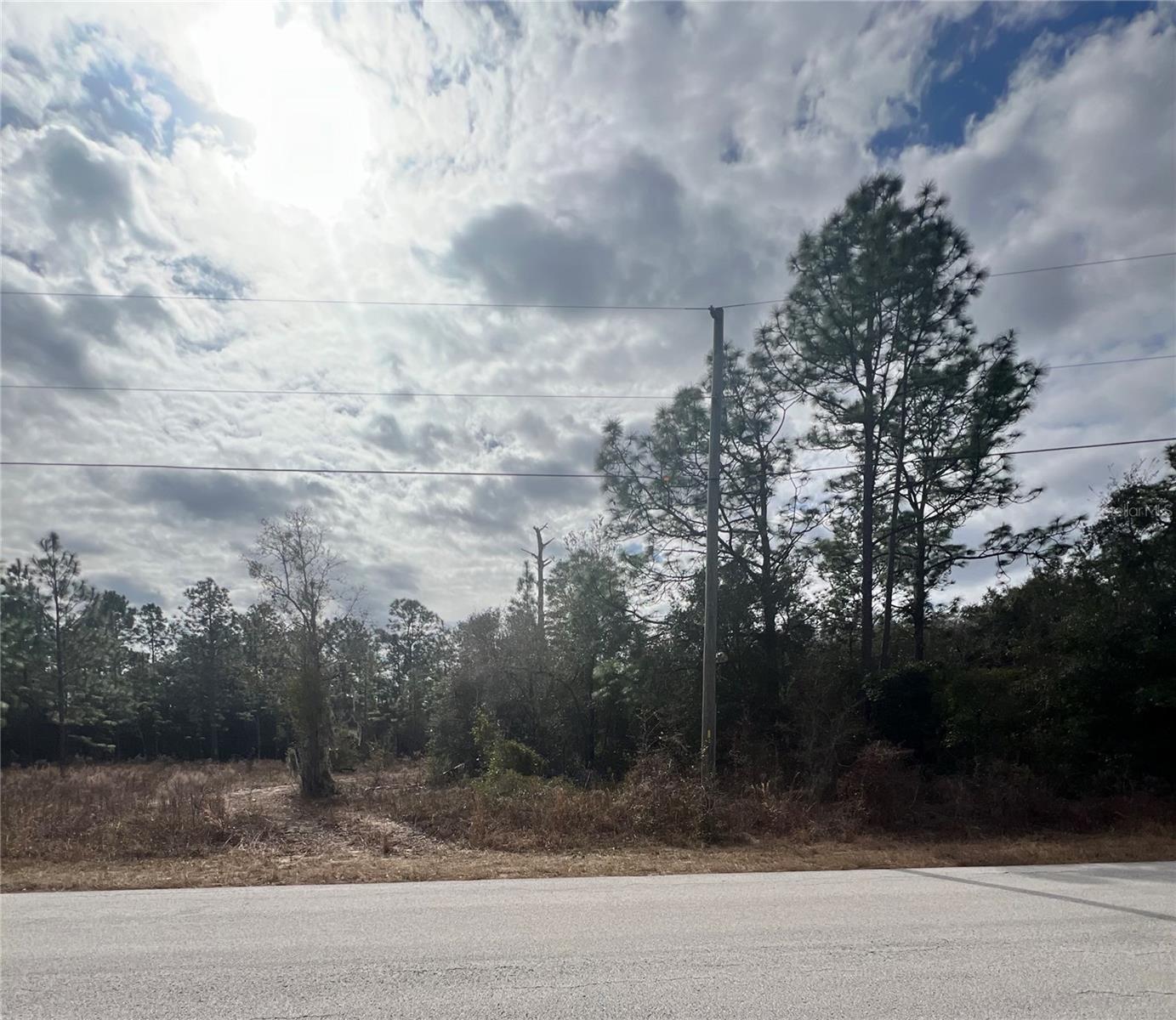 TBD SW TIGER LAKE BLVD, DUNNELLON, FL, 34431