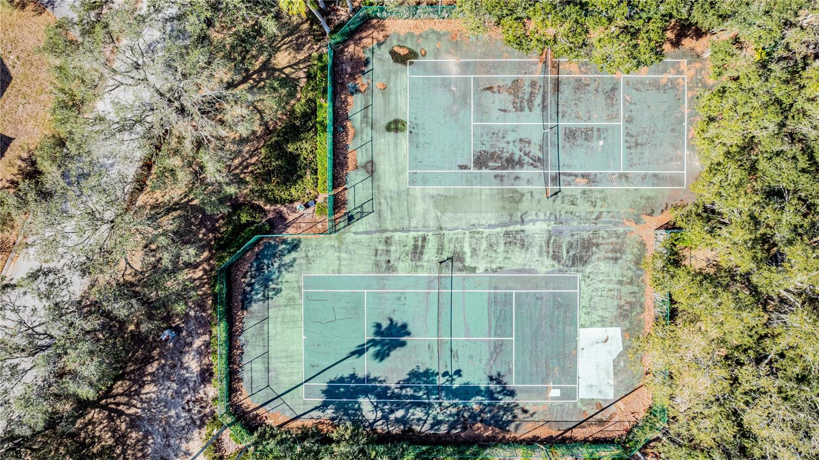 526 LAKE SHORE PKWY, DAVENPORT, FL, 33896