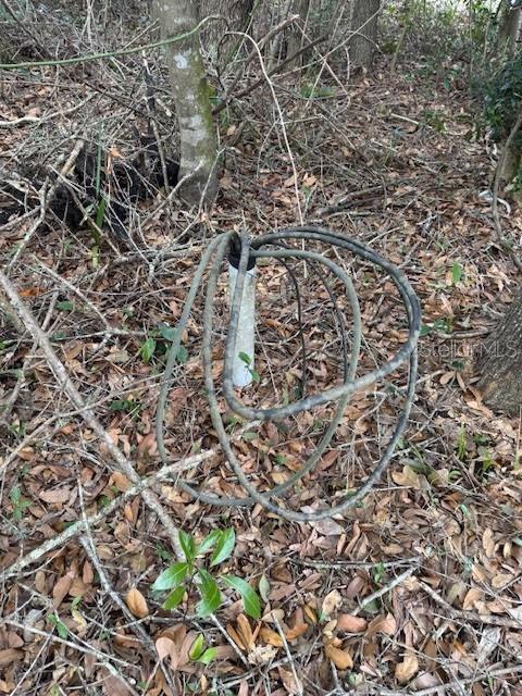 23125 W NEWBERRY RD, NEWBERRY, FL, 32669