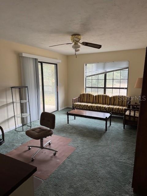 23125 W NEWBERRY RD, NEWBERRY, FL, 32669