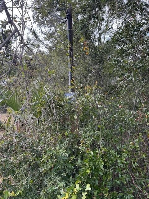 23125 W NEWBERRY RD, NEWBERRY, FL, 32669