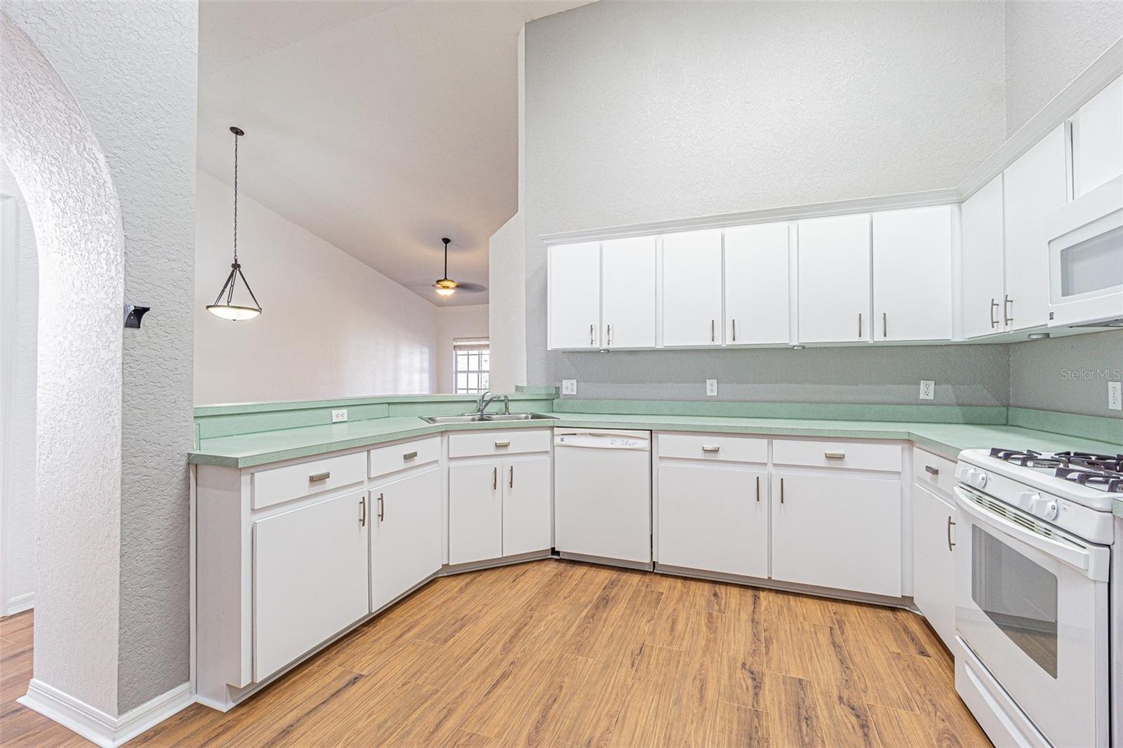 21548 CLUBSIDE LOOP, LUTZ, FL, 33549