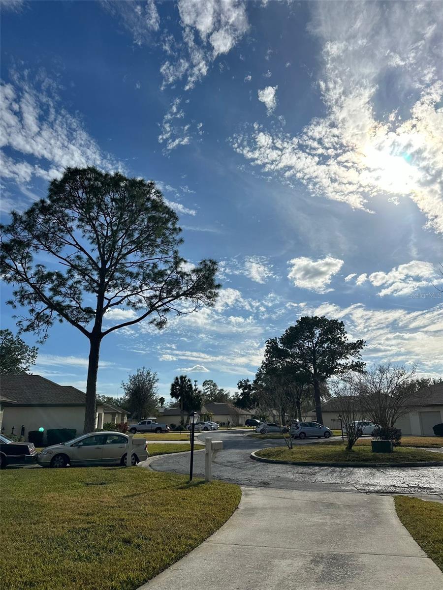 18827 TOURNAMENT TRL, TAMPA, FL, 33647