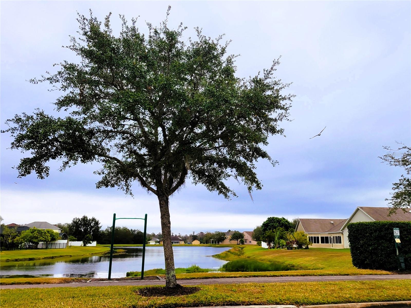 2912 SWEETSPIRE CIR, KISSIMMEE, FL, 34746