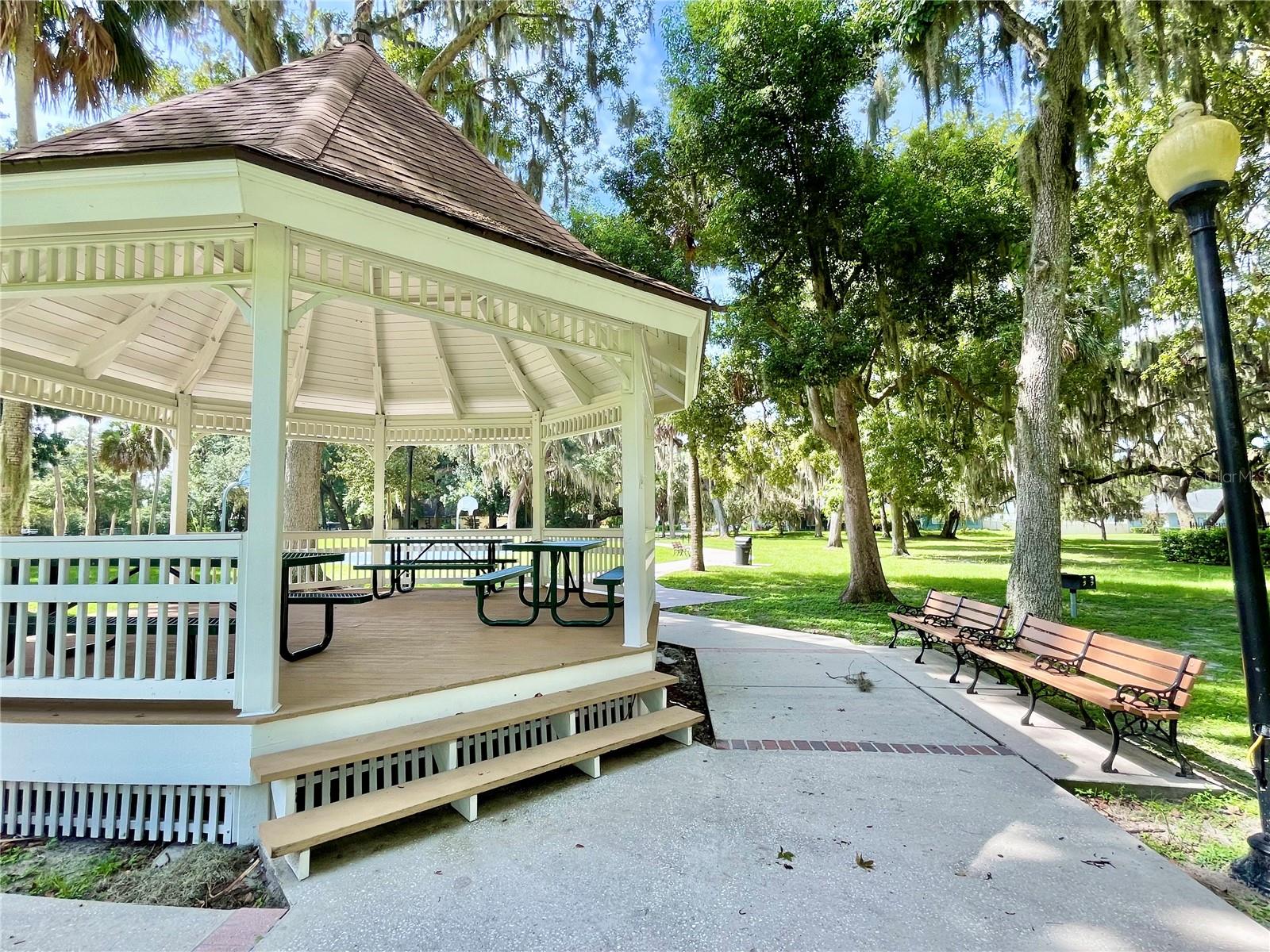 111 MILLHOLLAND ST, OAKLAND, FL, 34760