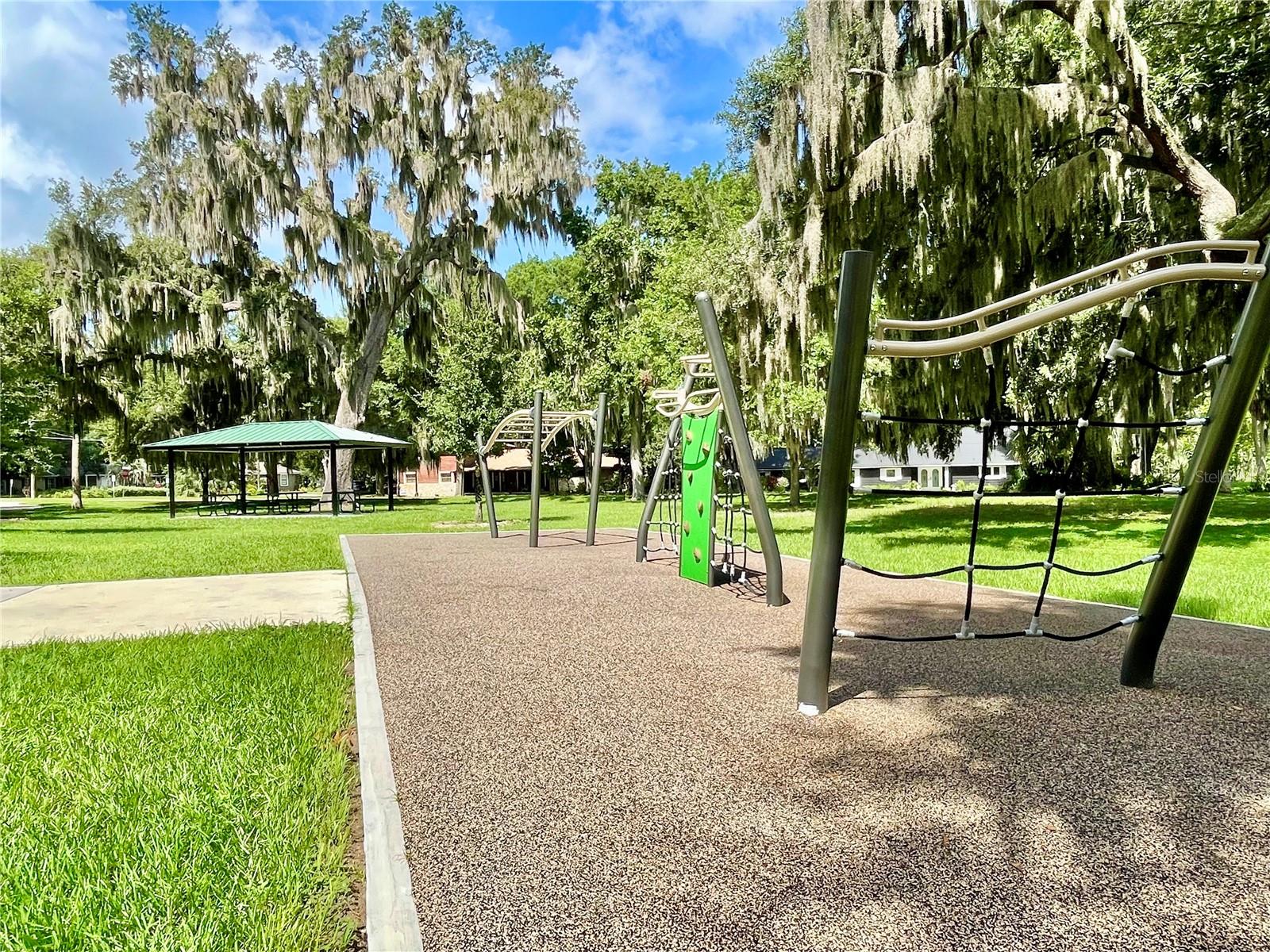 111 MILLHOLLAND ST, OAKLAND, FL, 34760