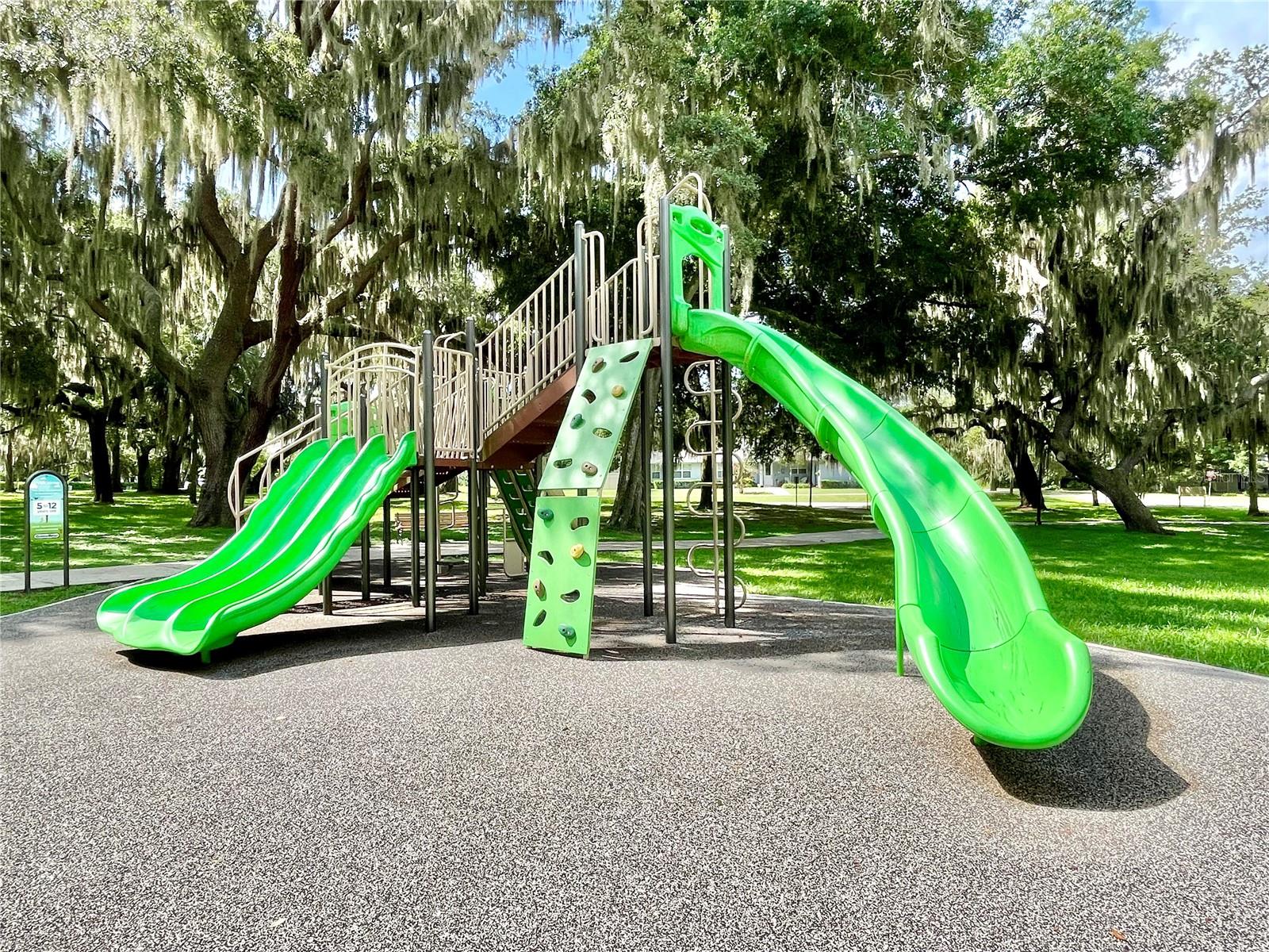 111 MILLHOLLAND ST, OAKLAND, FL, 34760