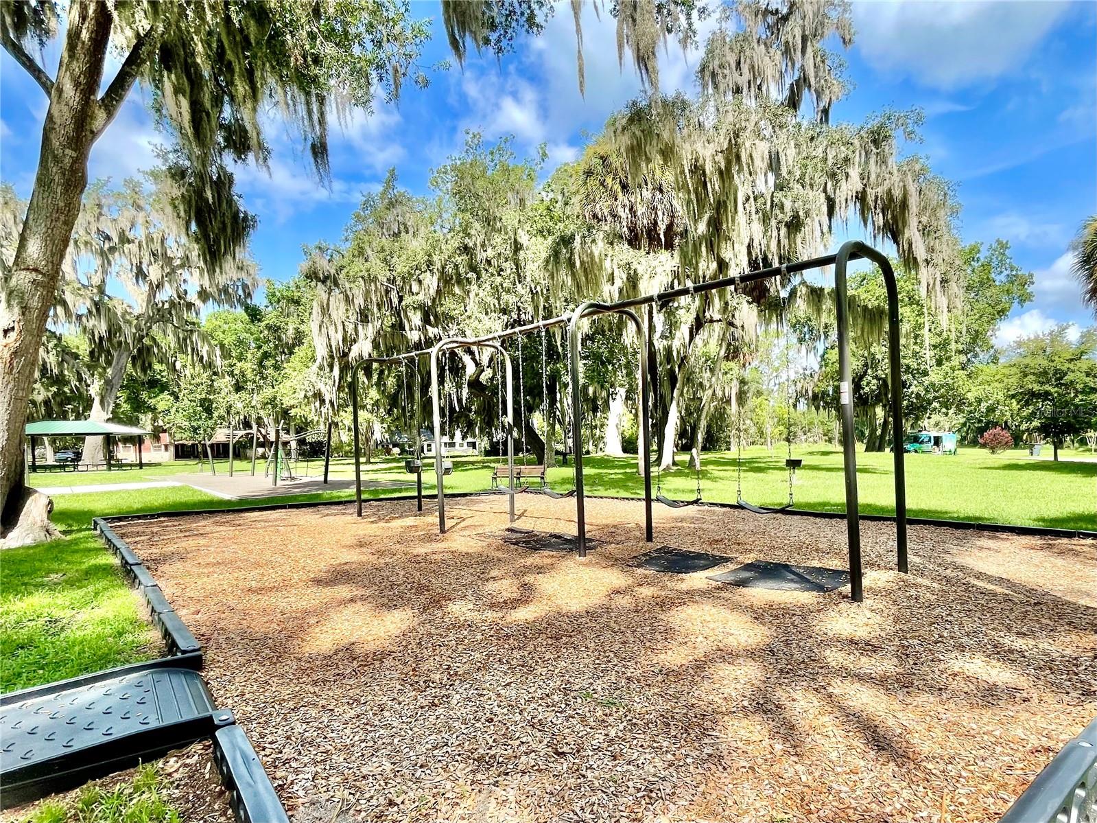 111 MILLHOLLAND ST, OAKLAND, FL, 34760