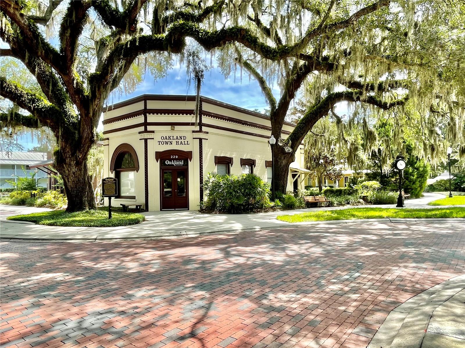 111 MILLHOLLAND ST, OAKLAND, FL, 34760